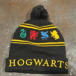 Harry Potter Hat